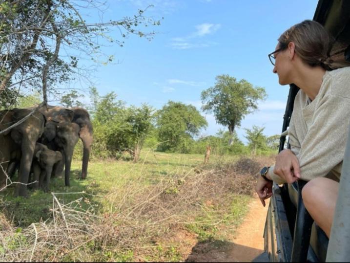 Nature Lovers Safari & Villa Udawalawe Exterior photo