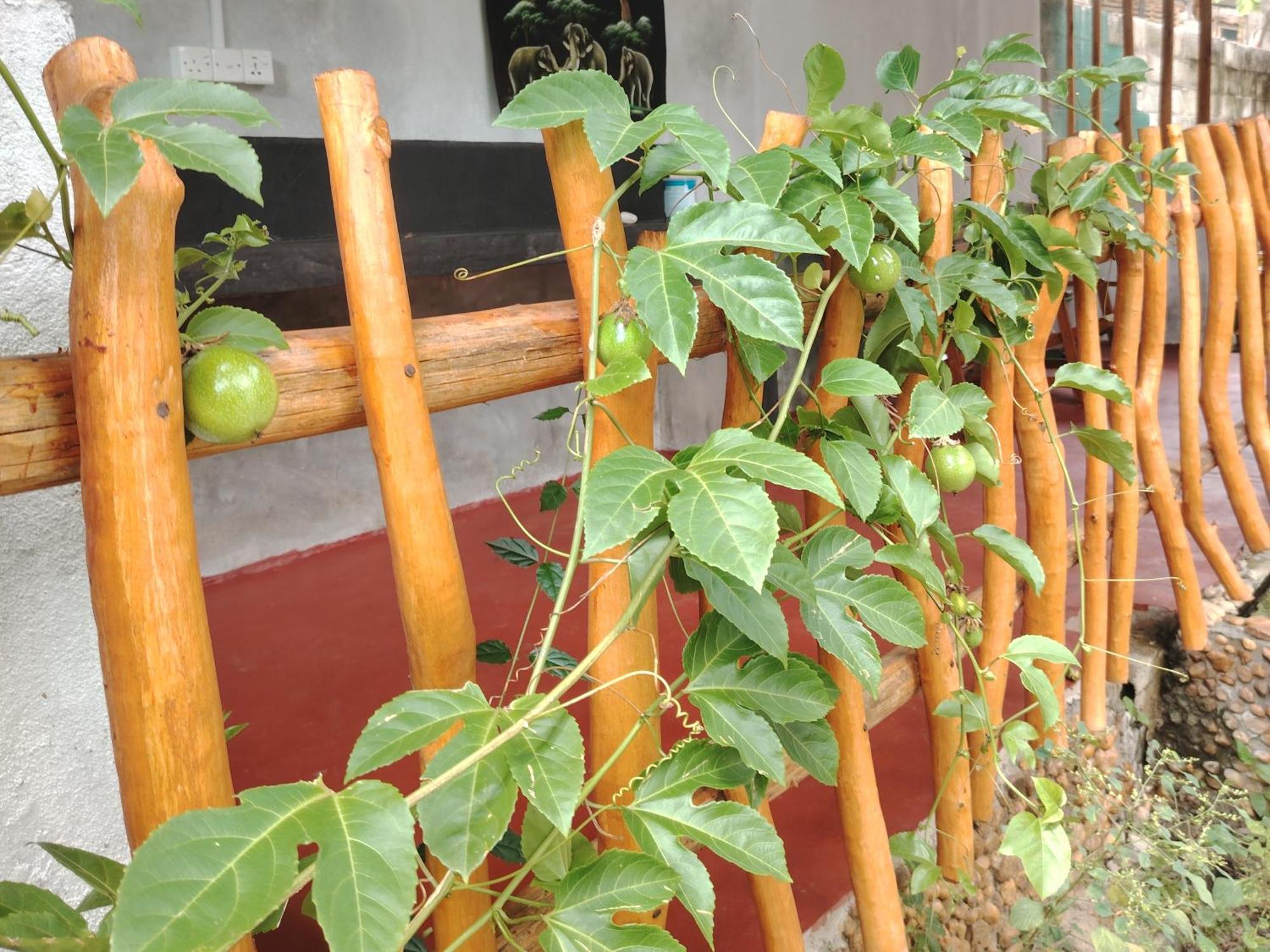 Nature Lovers Safari & Villa Udawalawe Exterior photo